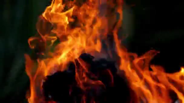 Brandende Vlam Van Dichtbij Gezien Close Van Een Groot Kampvuur — Stockvideo