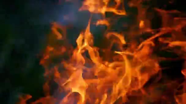 Drewno Opałowe Spłonęło Ognisku Ogień Ognia Świeżym Powietrzu Zamknij — Wideo stockowe