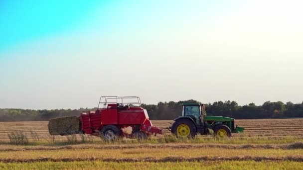 Haymaking Tractor Het Veld Machines Voor Het Oogsten Van Hooi — Stockvideo