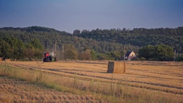 Трактор Сеном Сельскохозяйственный Трактор Сенокоса Поле — стоковое видео