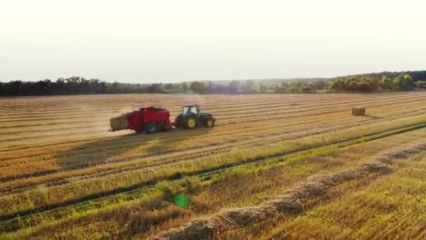 Tractor Fresh Cut Hay Field Cutting Harvesting Hay Crops — Wideo stockowe