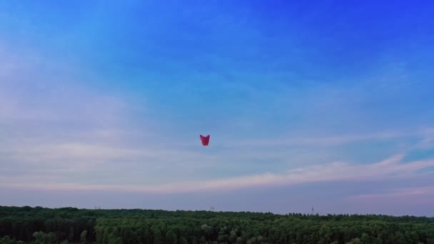 纸灯笼在天空中飘扬 空中看一盏漂浮在森林上的灯笼 — 图库视频影像