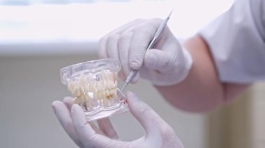 Ağız temizliği gösterisi. Çene modelini gösteren dişçiyi kapat