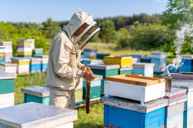 Summer farming sweet honey. Beekeeping apiary beehive.