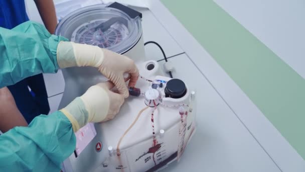 科学家在现代生物实验室工作 生物学和医学领域的细胞培养技术 — 图库视频影像