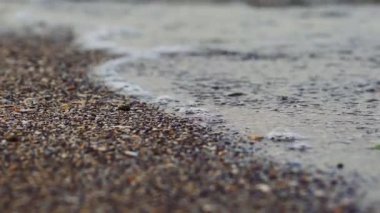 Denizde şeffaf dalga. Sahile yakın, deniz altyapısı var.