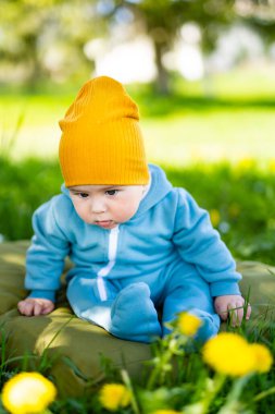 Karahindiba otlağında küçük bir oğlan. Güneşli karahindiba tarlasında oynayan sevimli bebeğin portresi. Aile değerleri