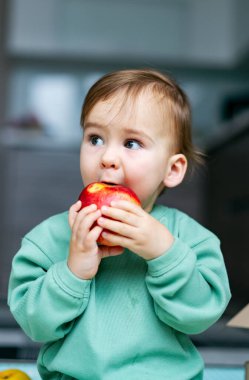 Evde elma yiyen tatlı bir erkek bebek. Sağlıklı çocuk beslenmesi