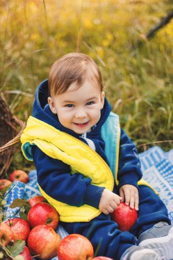 Bahçede elma yiyen sevimli erkek bebek. Çocuklar meyve yer. Küçük çocuk için sağlıklı beslenme. Elmalı çocuk.