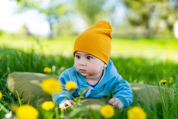 Baby boy on the dandelion meadow. Portrait of adorable baby playing outdoor in the sunny dandelions field. Family values