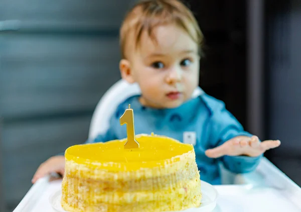 Cute little boy with birthday cake. One year baby birthday party