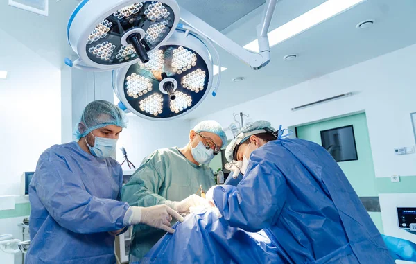 Medico Operatorio Ospedale Specialisti Neurochirurgia Pronto Soccorso — Foto Stock