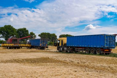 Çiftlik arazilerini birleştir. Tarlada buğday topluyorum..
