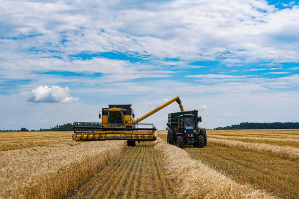 Крупная сельскохозяйственная машина для зерновых, работающих в поле. Комбайны собирают пшеничное поле.
