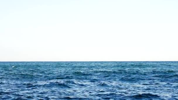 水平線の海の背景 アクア海水面の背景撮影 — ストック動画