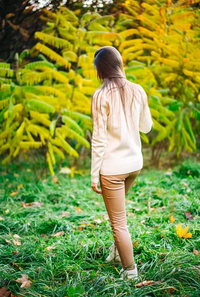 Seasonal outdoor walking. Young woman in autumn yellow park.