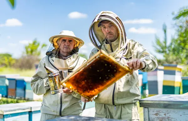 Honey farming worker in apiary. Male beekeeper taking out honey from beehive.