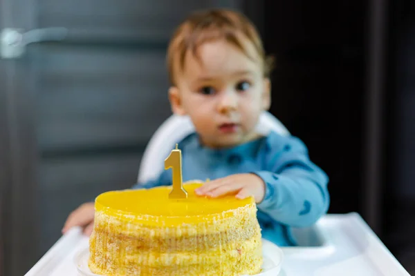 One year boy with cake portrait. Adorable young baby sitting with birthday dessert.