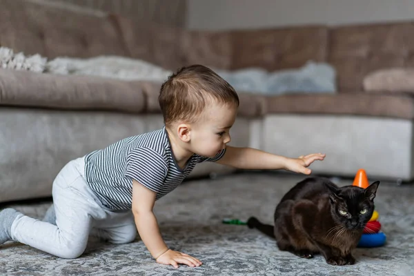 Cute Baby Playing Playful Cat Floor Baby Playing Cat Floor — Stock Photo, Image
