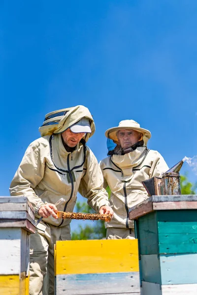 Two people in bee suits standing next to a beehive. Two people in bee suits standing next to a beehive