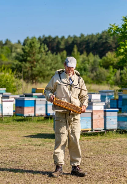 Man standing in front of a swarm of bees. A man standing in front of a bunch of bees