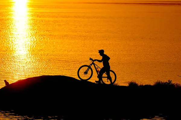 A Tranquil Bike Ride Along the Sparkling Shoreline. A person riding a bike near a body of water