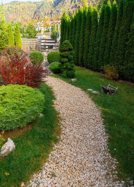 A gravel path in the middle of a garden. A Tranquil Journey Through Nature\'s Oasis