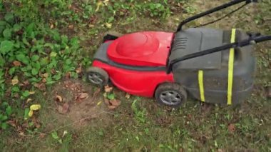 Kırmızı çim biçme makinesi çim biçiyor. Bahçe düzenleyicisi çim biçme makinesiyle çim biçiyor