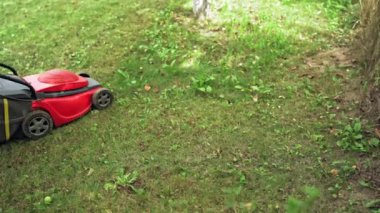 Bahçe işleri ve ekipmanlar. Çim biçme makinesi kullanan işçiler