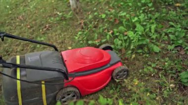 Bahçede çim biçme. Bahçesinde çim biçme makinesiyle çim biçen bir adam