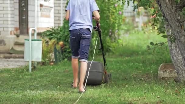 Pemotong Rumput Halaman Memotong Rumput Pekerja Memotong Rumput Dengan Mesin — Stok Video