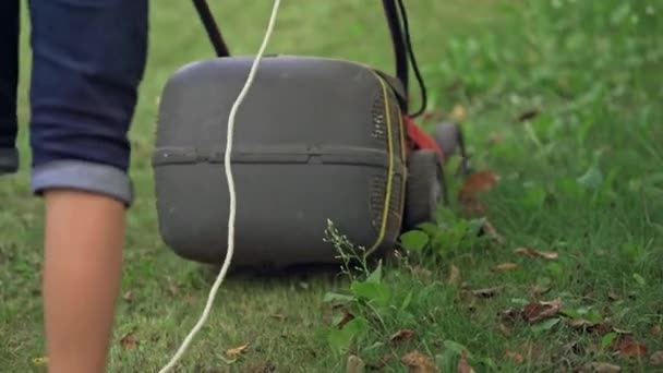 Berkebun Dengan Mesin Pemotong Rumput Tutup Rincian Lanskap Dan Berkebun — Stok Video