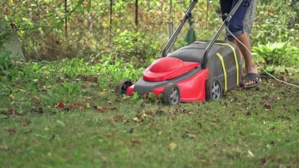 強力な赤い芝刈り機 芝刈り機で芝を刈る — ストック動画