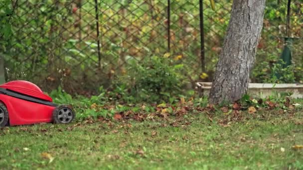 芝刈り機を持った男 芝刈り機の近くの眺め — ストック動画