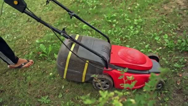 Taking Care Garden Cutting Grass Lawn Mover — Stock Video