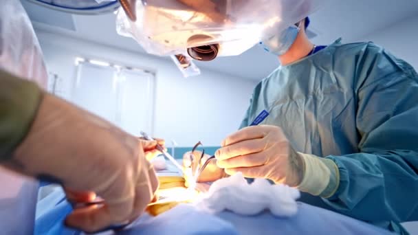 外科チームが患者を手術する 低侵襲手術を行う病院の外科医の医療チーム — ストック動画