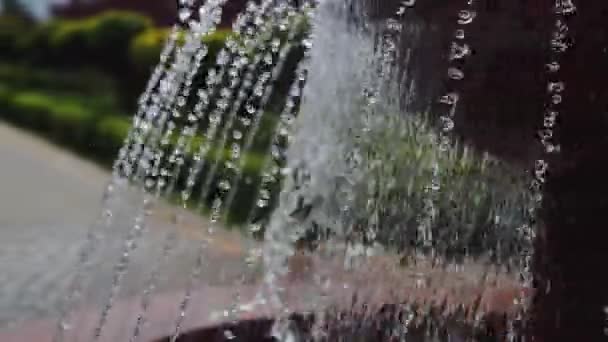 Parktaki Çeşme Suyu Çeşmeden Akan Sular — Stok video