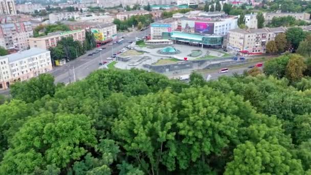 도시의 공중에서 과푸른 나무들이 공원의 — 비디오