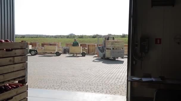 Kyjev Ukrajina Října 2019 Krabice Jablka Nesoucí Vysokozdvižný Vozík Zaměstnanec — Stock video