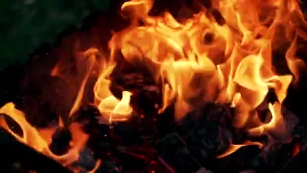 Venkovní Oheň Hoří Velký Jasně Oranžový Táborák Hoří Venku — Stock video