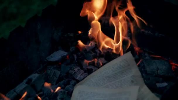 Kellemes Meleg Estét Közelkép Tűz Erdőben Kemping Alatt — Stock videók