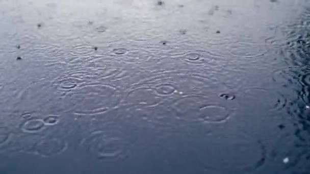 Gotas Agua Superficie Del Río Ondas Gotas Lluvia Que Caen — Vídeo de stock