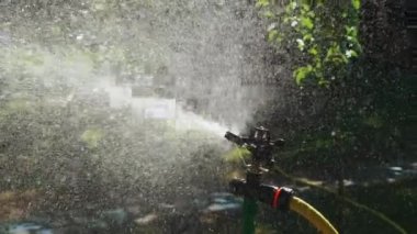 Sulama bahçesi aygıtı. Yeşil çimlerin fıskiye sistemiyle sulanması