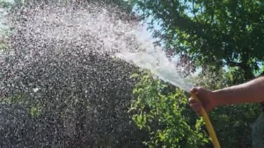 Yeşil bahçede çiftçi sulama bitkisi. Yeşil bahçenin arka planında su hortumu fıskiyesi
