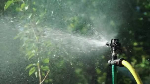 芝生に散水自動スプリンクラーシステム 完全自動スプリンクラー灌漑システムで作動するスマートガーデン — ストック動画