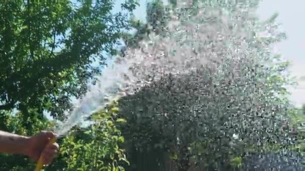 用软管浇灌花园 用软管浇灌花园的近景 — 图库视频影像