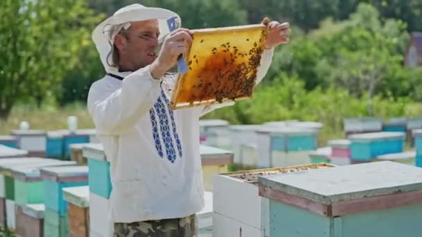 Bijenhouderijlijst Met Honingraat Bijenhouder Beschermende Werkkledij Inspecterend Honingraatframe Bij Bijenstal — Stockvideo
