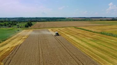 Tarlada çalışan hasat makinesi. Buğday tarlasını hasat eden tarım makinesini birleştirin.