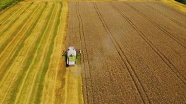 Buğday tarlasını birleştirin. Buğday tarlasında çalışan kombine üzerinde hava görüntüsü