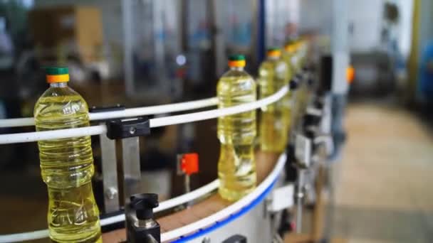 Przemysł Butelkowania Ropy Naftowej Produkcja Przemysłowa Oleju Słonecznikowego — Wideo stockowe